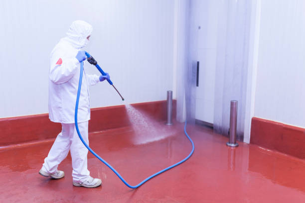 Best Paint Preparation  in Regency At Monroe, NJ