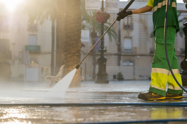 Best Soft Washing  in Regency At Monroe, NJ